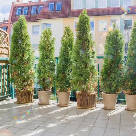 Malaga By Renters *